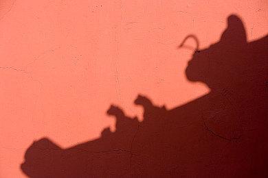 《黑神话》制作人冯骥建议发售前断网 8月20日直接玩